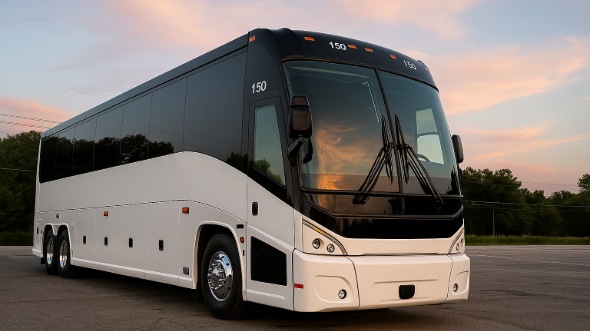 loveland bachelor and bachelorette party bus rentals